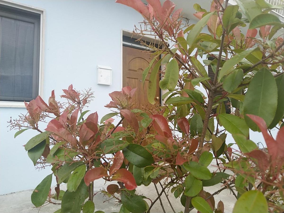 Rosa Dei Venti House Vila Campomarino  Exterior foto